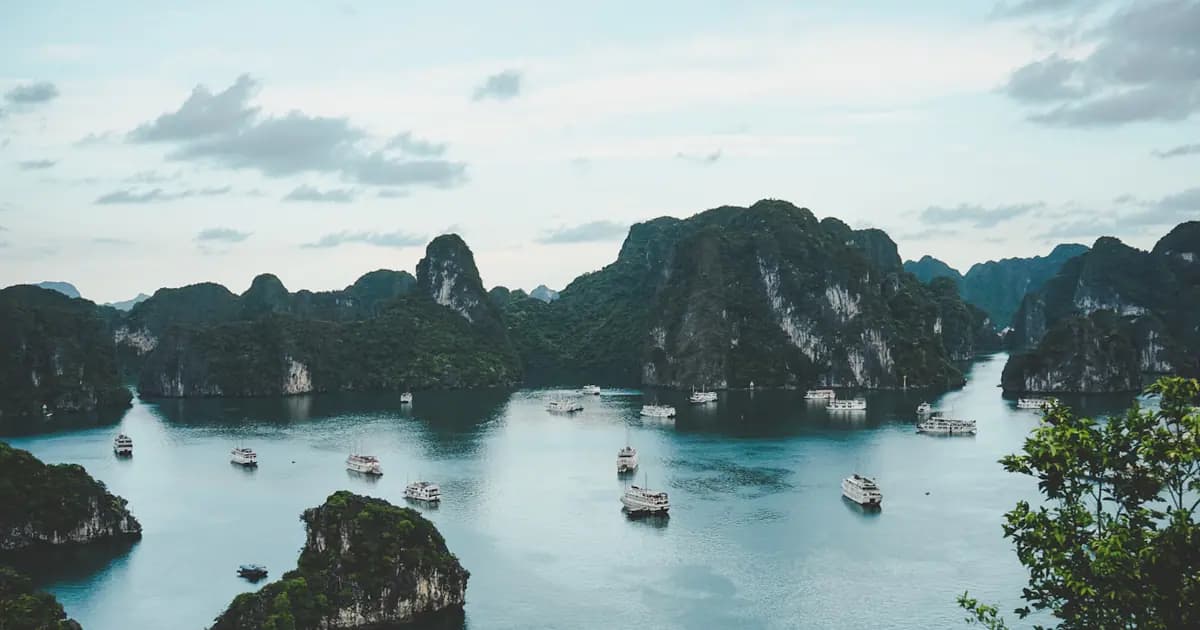 Hướng Dẫn Du Lịch Cát Bà Hải Phòng Hè 2026: Đảo Ngọc Miền Bắc