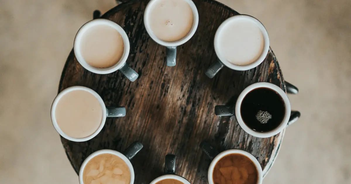 Top 5 Bình Pha Cà Phê Cold Brew Mùa Hè 2026