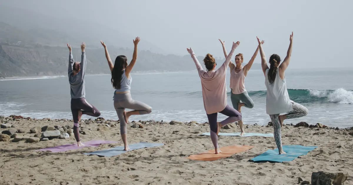 Đánh Giá Thảm Yoga Liforme Classic Purple Earth: Đáng Đầu Tư 2026